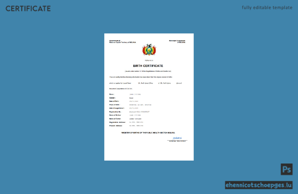 Bolivianische Geburtsurkunde (Word- und PDF-Beispiel)